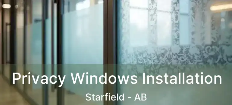  Privacy Windows Installation Starfield - AB