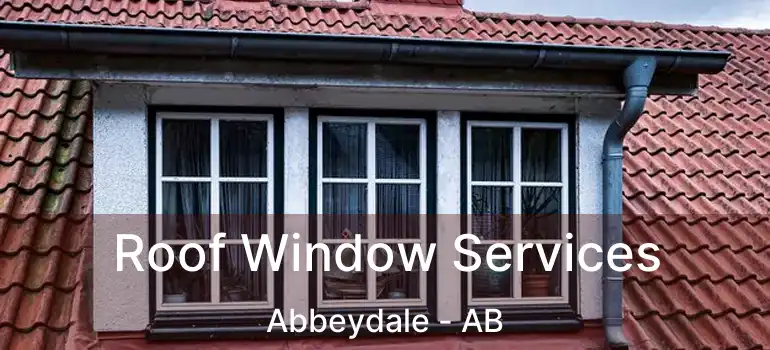  Roof Window Services Abbeydale - AB