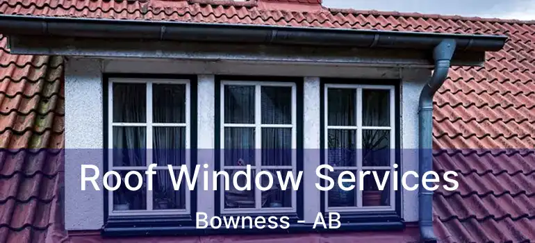  Roof Window Services Bowness - AB