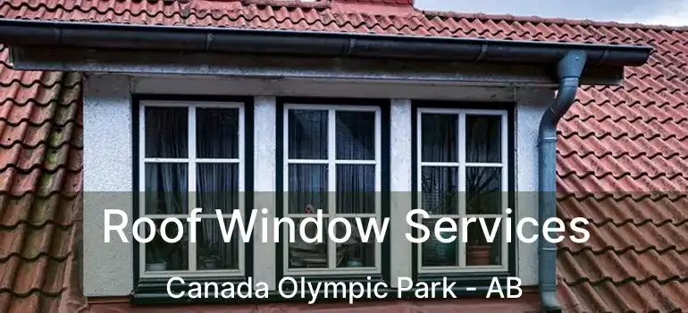  Roof Window Services Canada Olympic Park - AB