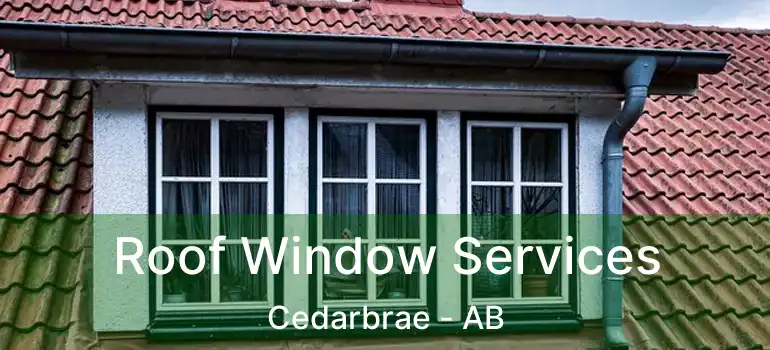  Roof Window Services Cedarbrae - AB