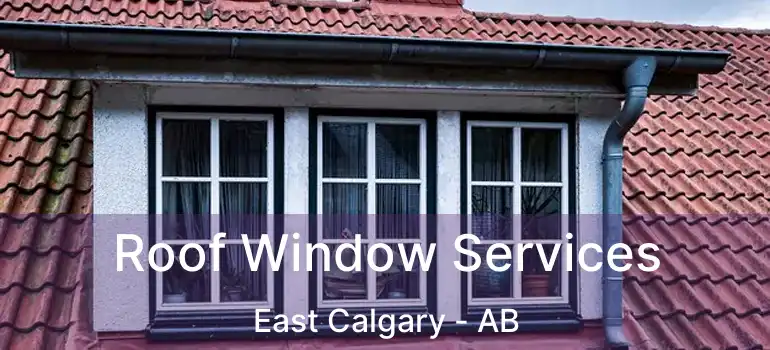  Roof Window Services East Calgary - AB