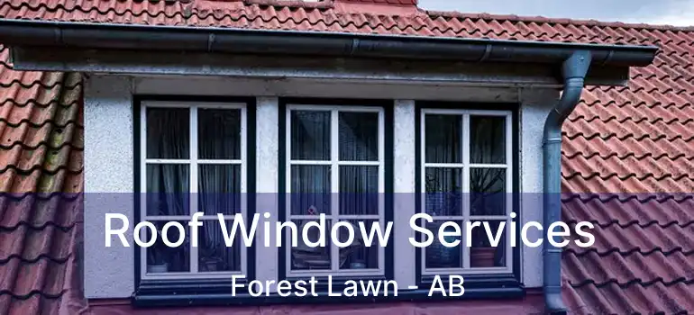  Roof Window Services Forest Lawn - AB