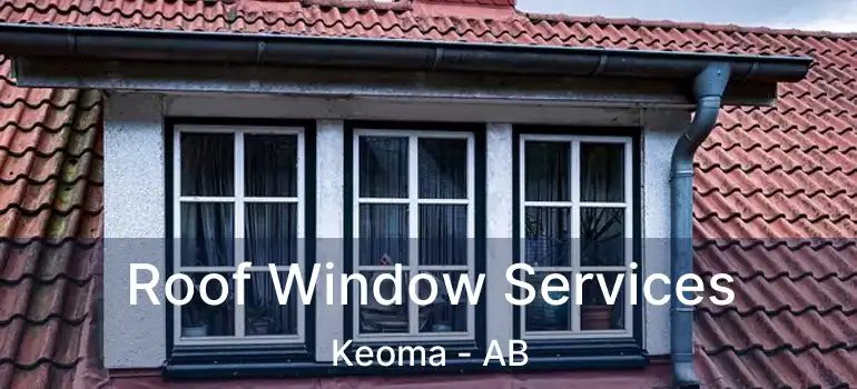  Roof Window Services Keoma - AB