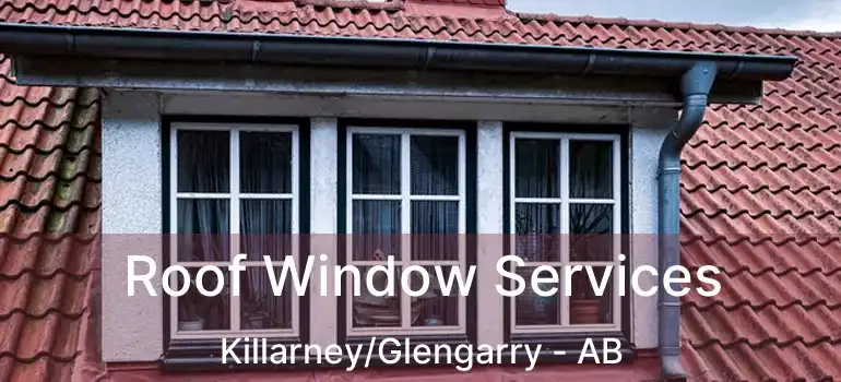  Roof Window Services Killarney/Glengarry - AB