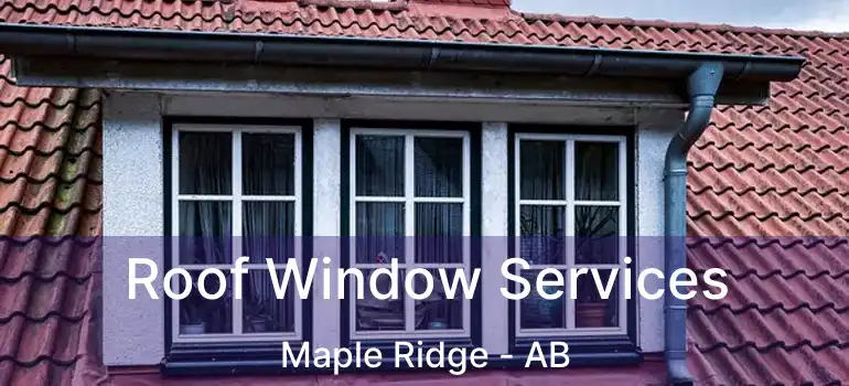  Roof Window Services Maple Ridge - AB