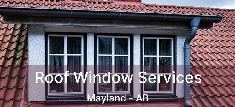  Roof Window Services Mayland - AB