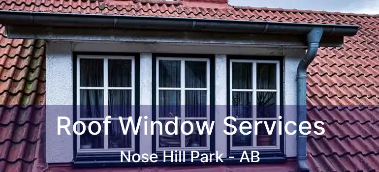  Roof Window Services Nose Hill Park - AB