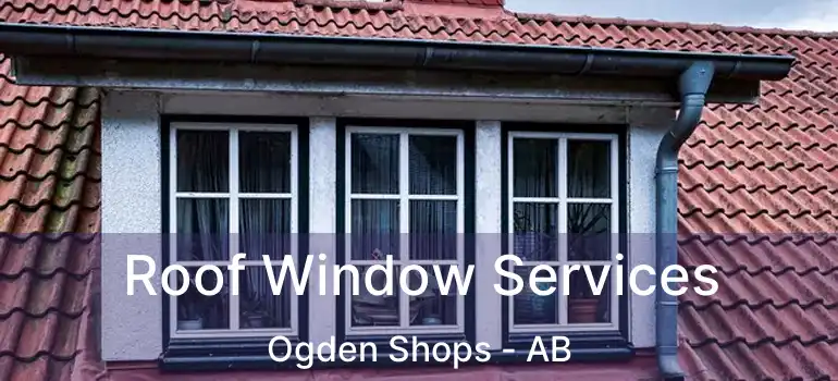  Roof Window Services Ogden Shops - AB