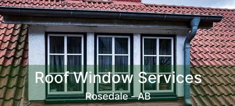  Roof Window Services Rosedale - AB