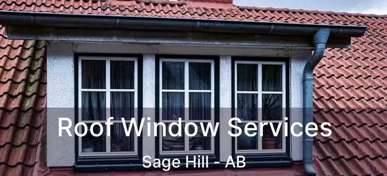  Roof Window Services Sage Hill - AB