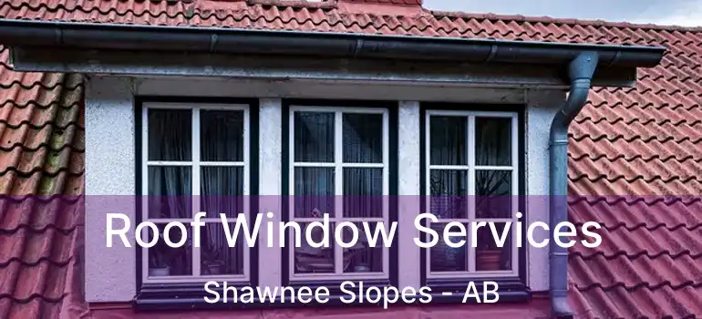  Roof Window Services Shawnee Slopes - AB