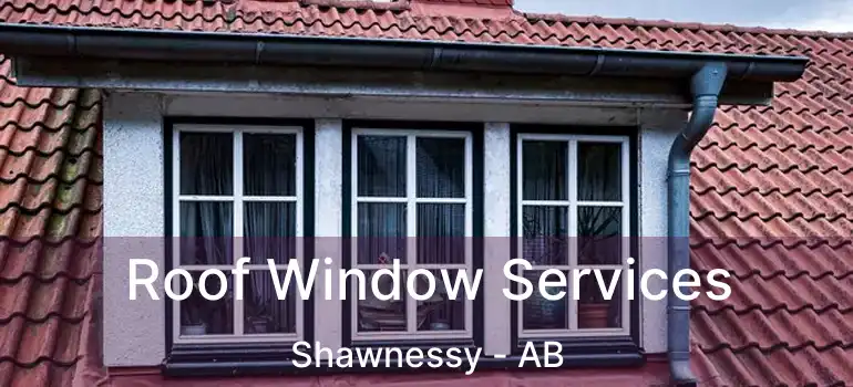  Roof Window Services Shawnessy - AB