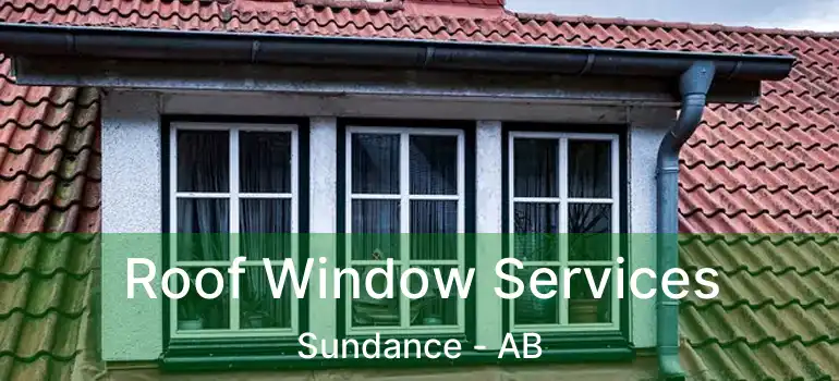  Roof Window Services Sundance - AB