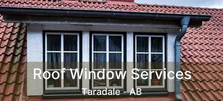  Roof Window Services Taradale - AB
