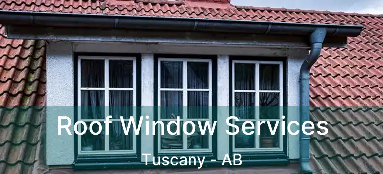  Roof Window Services Tuscany - AB