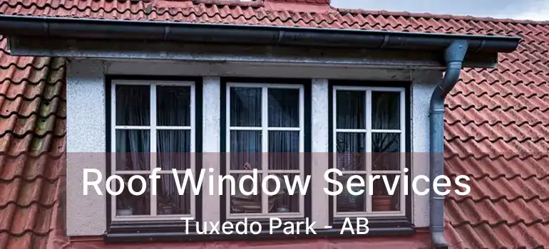  Roof Window Services Tuxedo Park - AB