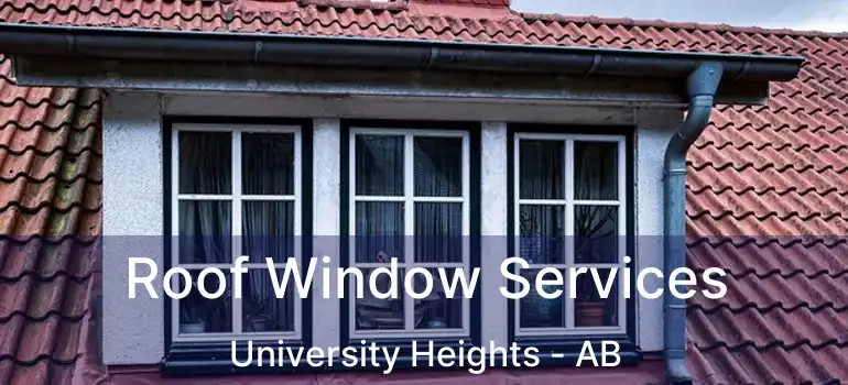  Roof Window Services University Heights - AB