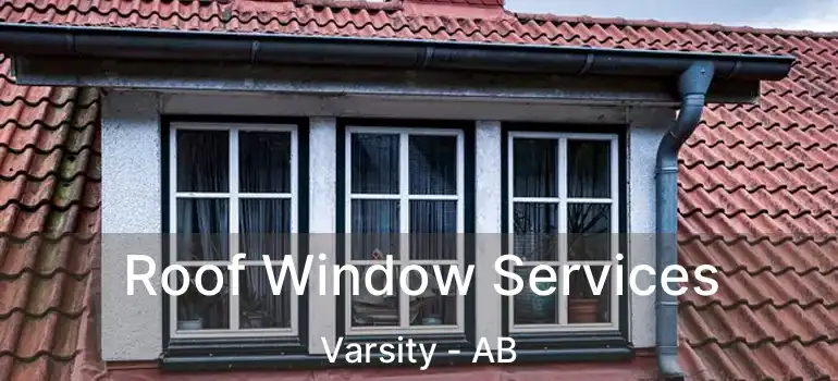  Roof Window Services Varsity - AB