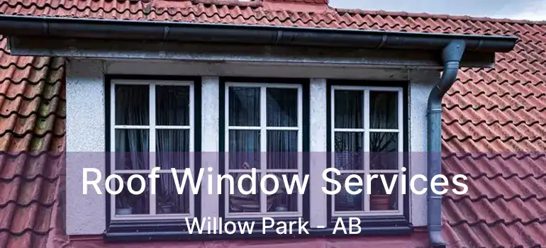  Roof Window Services Willow Park - AB