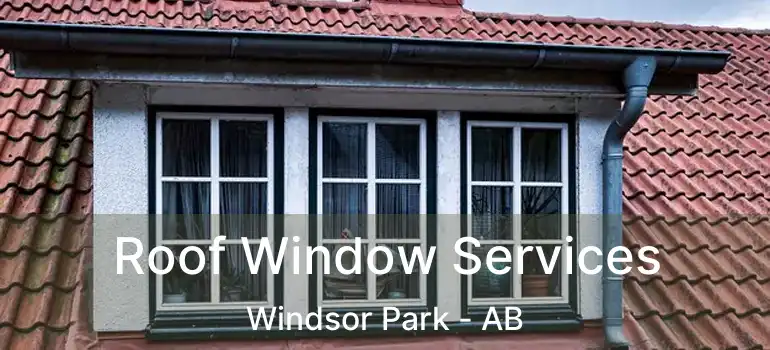  Roof Window Services Windsor Park - AB