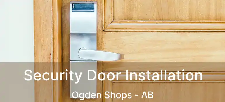  Security Door Installation Ogden Shops - AB