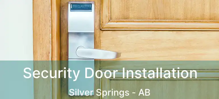  Security Door Installation Silver Springs - AB