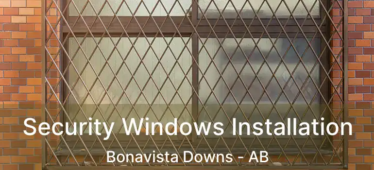  Security Windows Installation Bonavista Downs - AB
