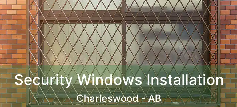  Security Windows Installation Charleswood - AB