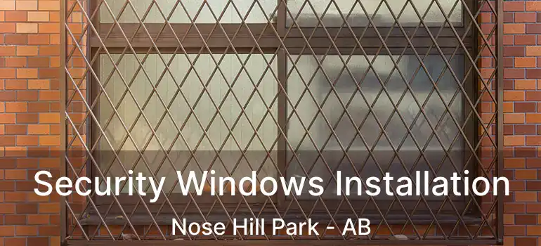  Security Windows Installation Nose Hill Park - AB