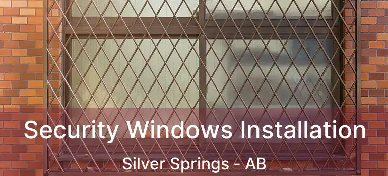 Security Windows Installation Silver Springs - AB
