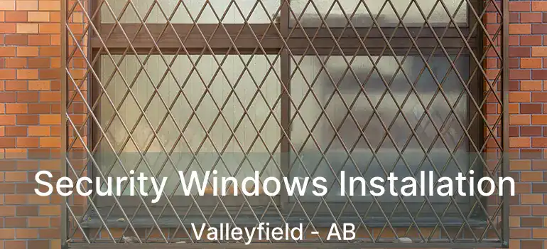  Security Windows Installation Valleyfield - AB
