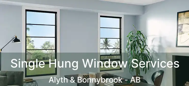  Single Hung Window Services Alyth & Bonnybrook - AB