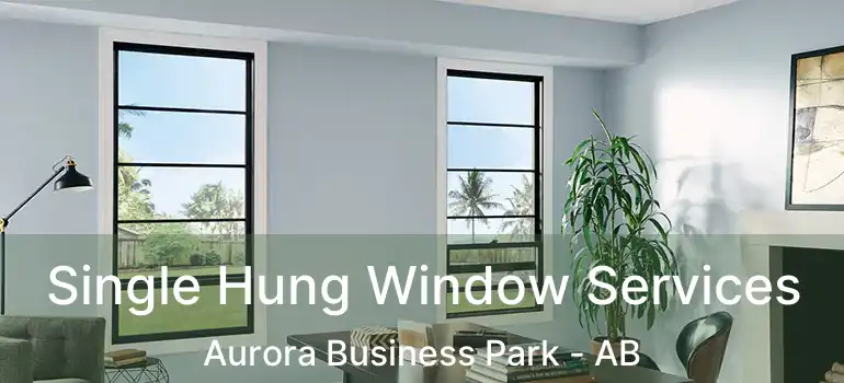  Single Hung Window Services Aurora Business Park - AB