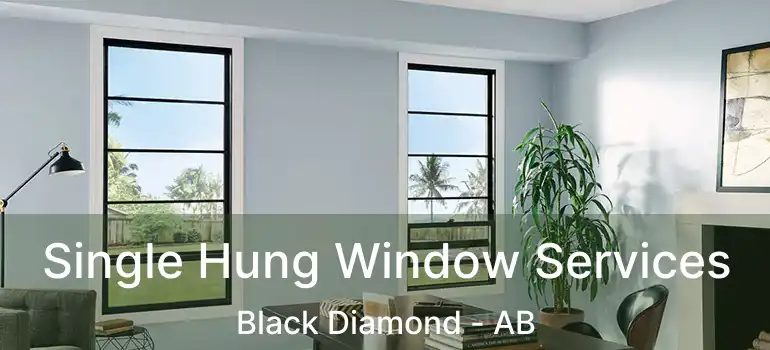  Single Hung Window Services Black Diamond - AB