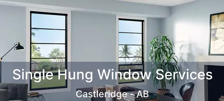  Single Hung Window Services Castleridge - AB