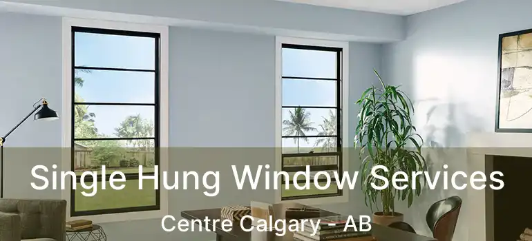  Single Hung Window Services Centre Calgary - AB