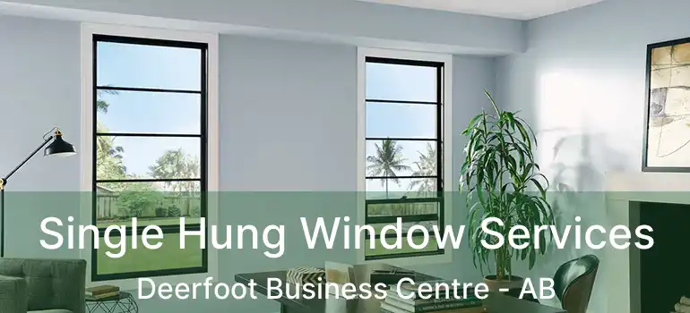  Single Hung Window Services Deerfoot Business Centre - AB
