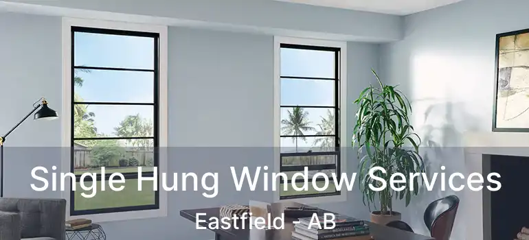  Single Hung Window Services Eastfield - AB