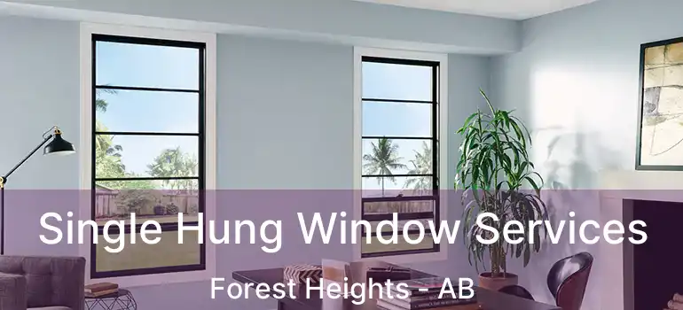  Single Hung Window Services Forest Heights - AB