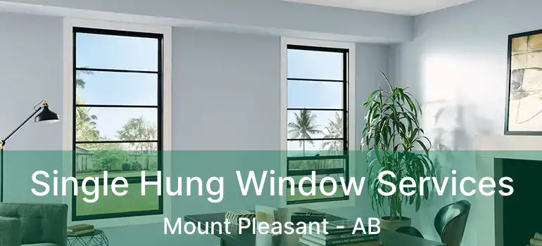  Single Hung Window Services Mount Pleasant - AB