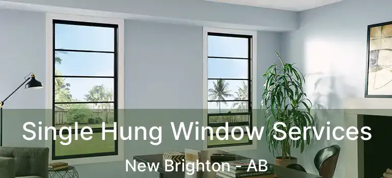  Single Hung Window Services New Brighton - AB