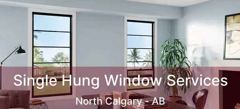  Single Hung Window Services North Calgary - AB