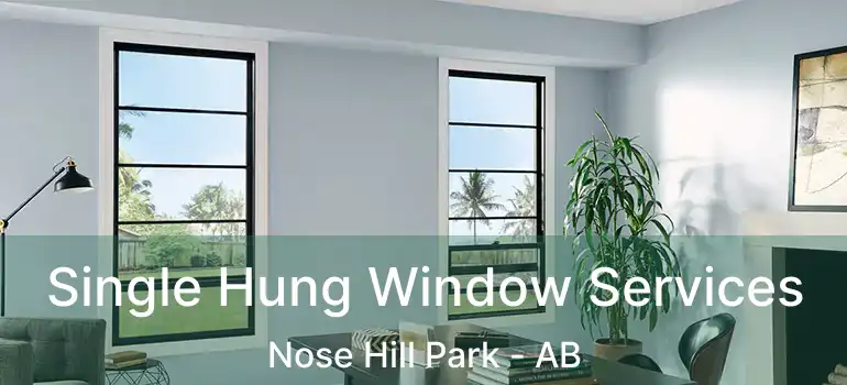  Single Hung Window Services Nose Hill Park - AB
