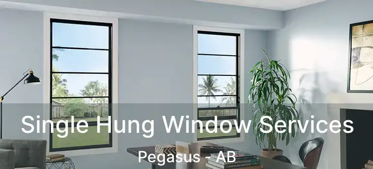 Single Hung Window Services Pegasus - AB