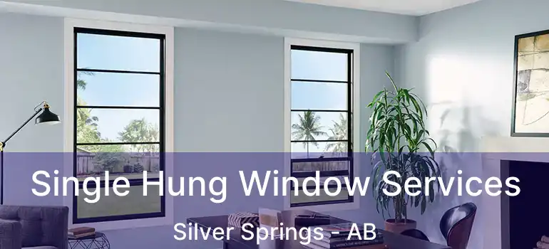  Single Hung Window Services Silver Springs - AB