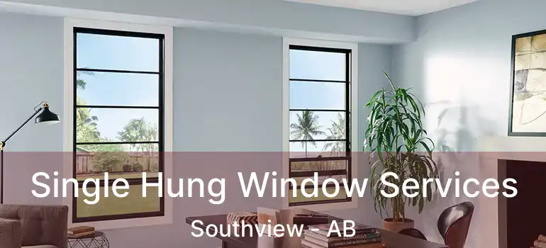  Single Hung Window Services Southview - AB