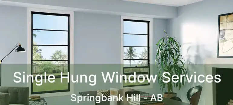  Single Hung Window Services Springbank Hill - AB