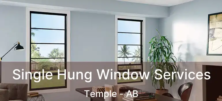  Single Hung Window Services Temple - AB