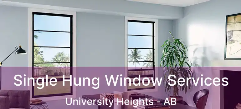  Single Hung Window Services University Heights - AB